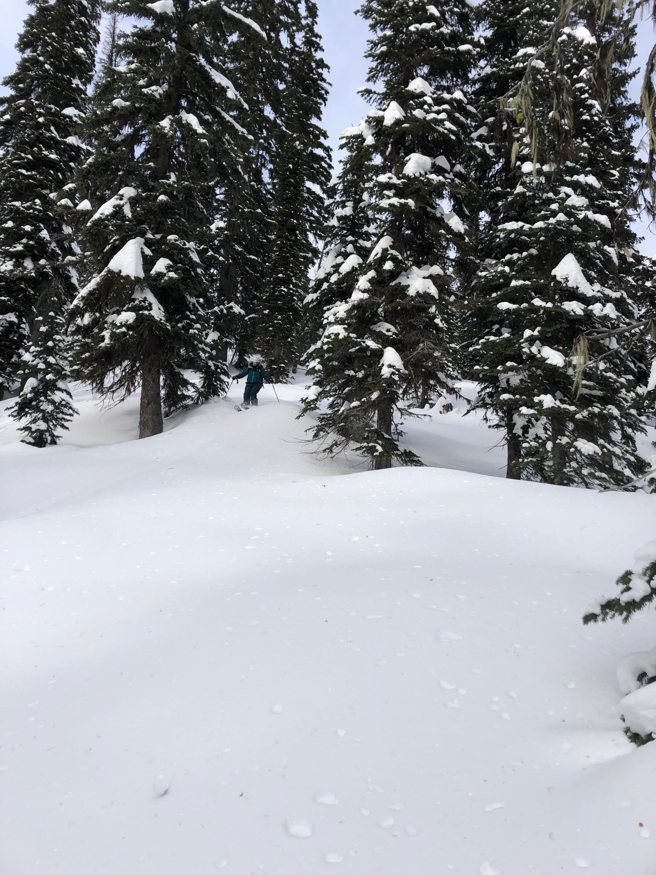 Tunnel Creek west of Hut image