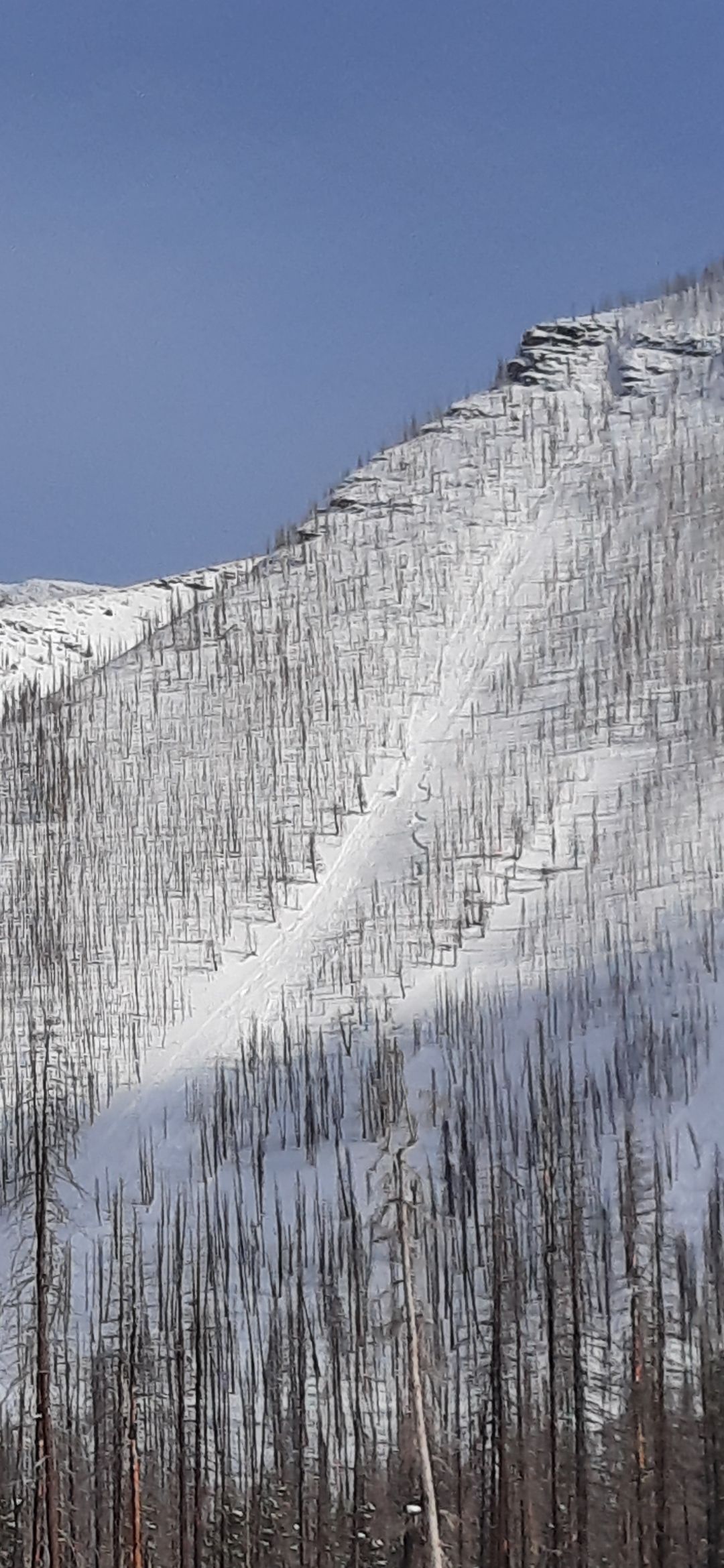 Buchanan Ridge natural avalanche image