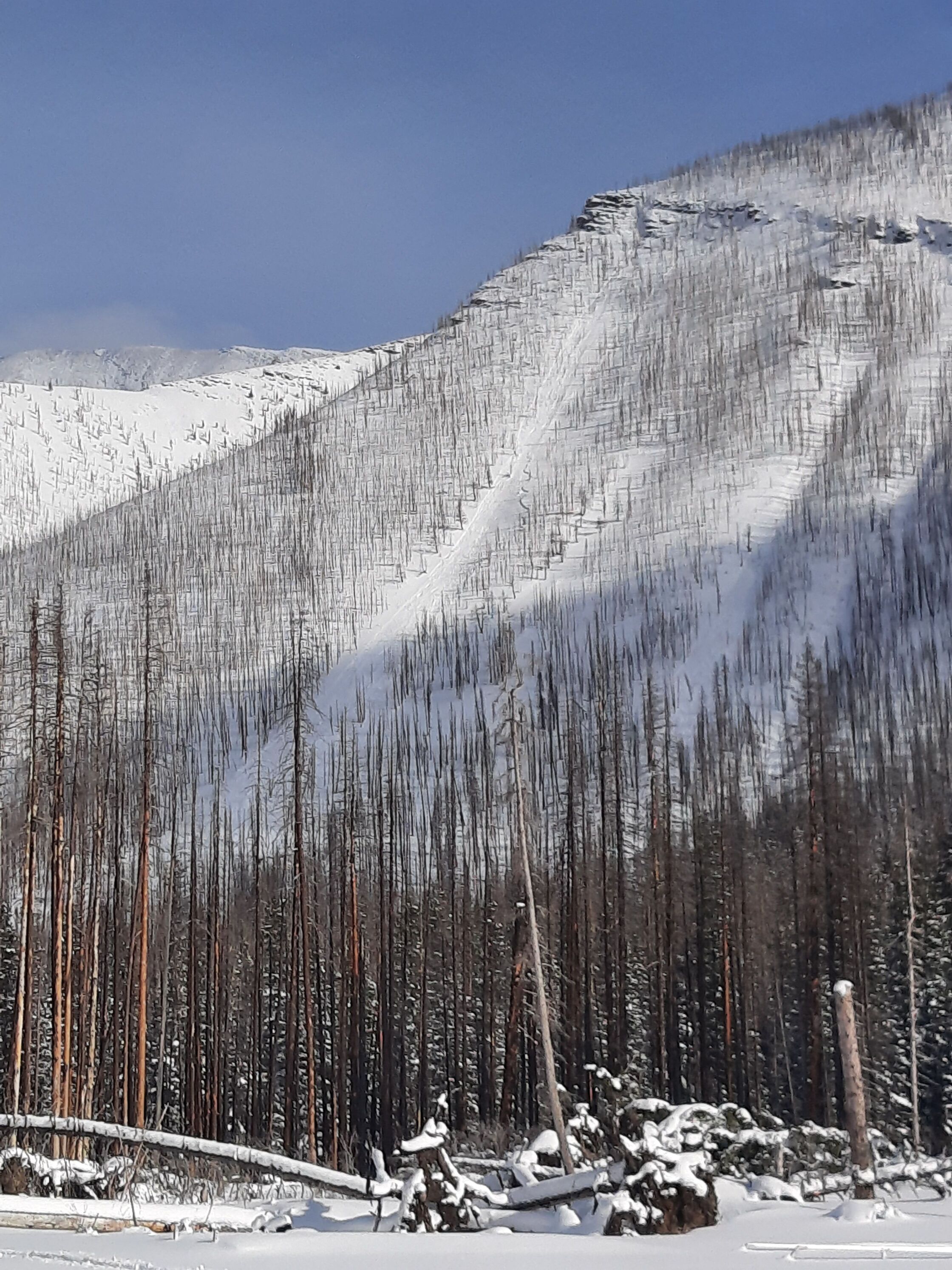 Buchanan Ridge natural avalanche image