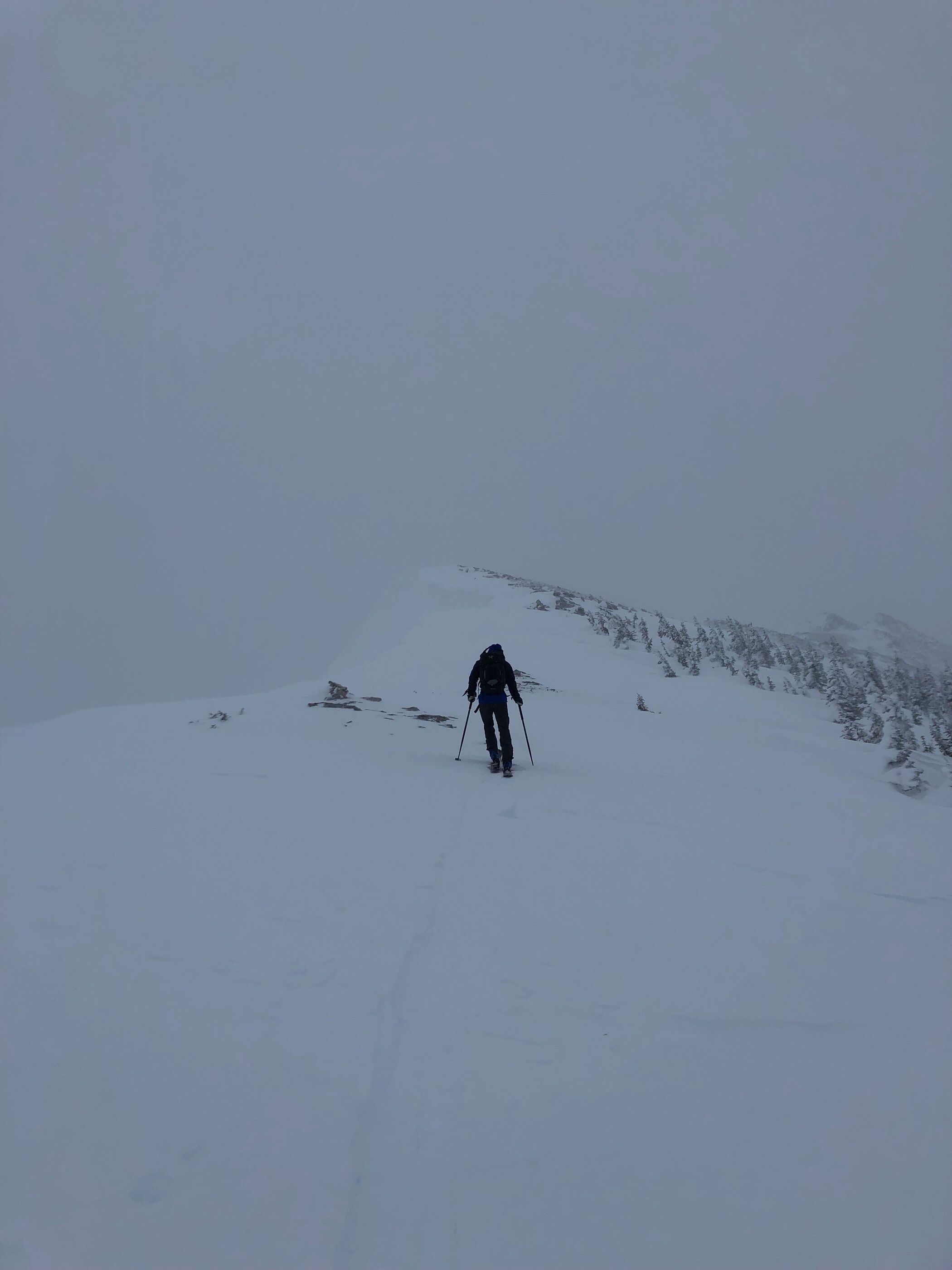 Mount Procter Summit image